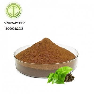 green tea extract powder